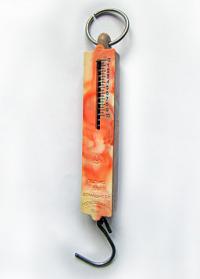 The Spring Scale The Spring Scale